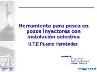 U.T.E Puesto Hernández