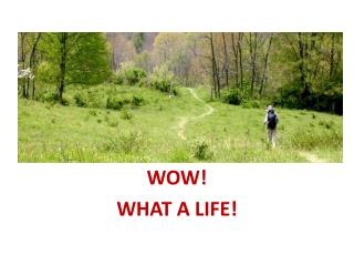 WOW! WHAT A LIFE!