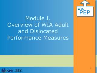 Module I. Overview of WIA Adult and Dislocated Performance Measures