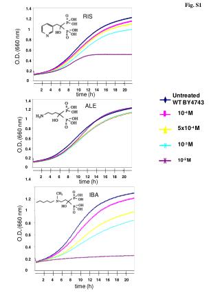 Fig. S1