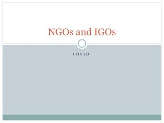 NGOs and IGOs