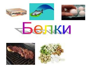 Белки