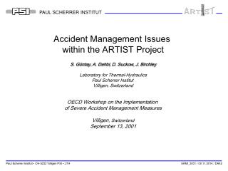 Accident Management Issues within the ARTIST Project
