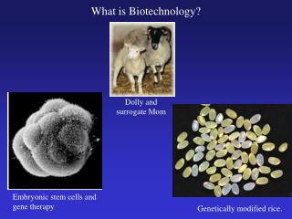 What is Biotechnology?
