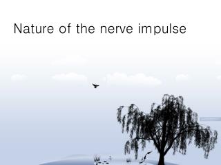 Nature of the nerve impulse