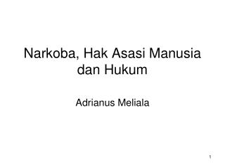 Narkoba, Hak Asasi Manusia dan Hukum