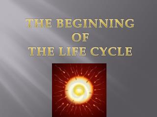 THE BEGINNING OF THE LIFE CYCLE