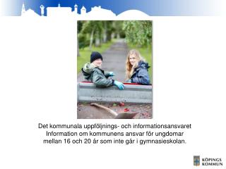 Det kommunala uppföljnings- och informationsansvaret