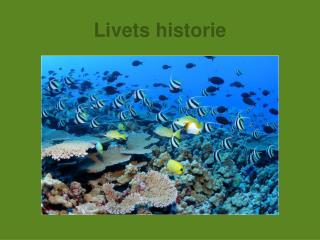 Livets historie