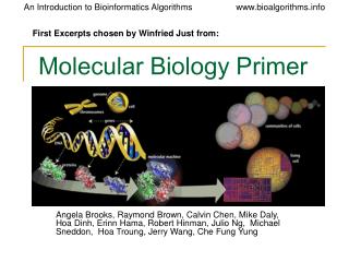 Molecular Biology Primer