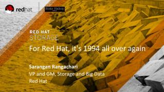 For Red Hat, it's 1994 all over again Sarangan Rangachari VP and GM, Storage and Big Data Red Hat