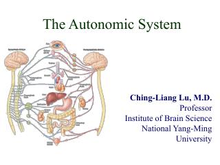 The Autonomic System