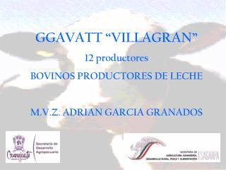 GGAVATT “VILLAGRAN” 12 productores BOVINOS PRODUCTORES DE LECHE M.V.Z. ADRIAN GARCIA GRANADOS