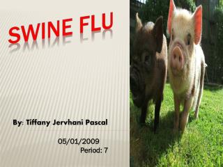 Swine Flu