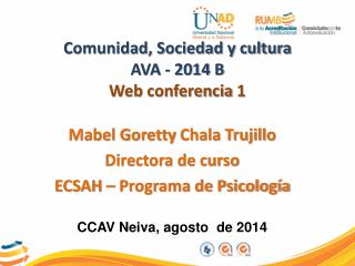 Comunidad , Sociedad y cultura AVA - 2014 B Web conferencia 1