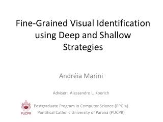 Fine-Grained Visual Identification using Deep and Shallow Strategies