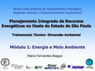Novos Instrumentos de Planejamento Energético Regional visando o Desenvolvimento Sustentável