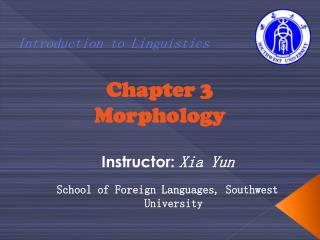 Chapter 3 Morphology