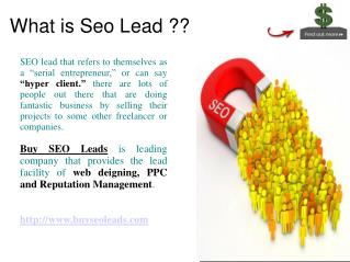 Buy Seo Leads
