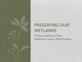 PRESERVING OUR WETLANDS