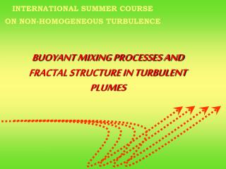 BUOYANT MIXING PROCESSES AND FRACTAL STRUCTURE IN TURBULENT PLUMES