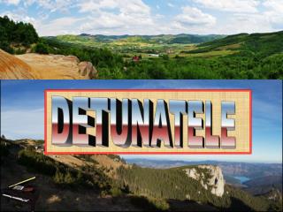 DETUNATELE