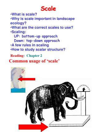 Scale What is scale? Why is scale important in landscape ecology?