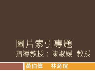 圖片索引專題 指導教授：陳淑媛 教授