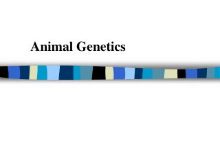 Animal Genetics