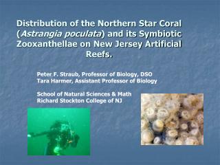 Distribution of the Northern Star Coral ( Astrangia poculata ) and its Symbiotic Zooxanthellae on New Jersey Artificial