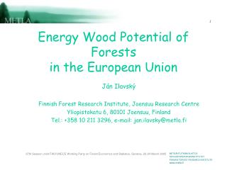 Energy Wood Potential of Forests in the European Union