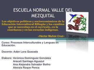 ESCUELA NORMAL VALLE DEL MEZQUITAL