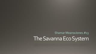 The Savanna Eco System