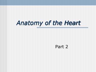 Anatomy of the Heart