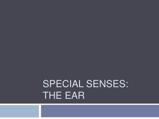 Special Senses: The Ear