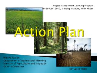 Action Plan