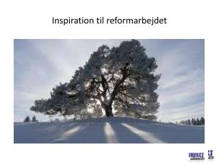 Inspiration til reformarbejdet