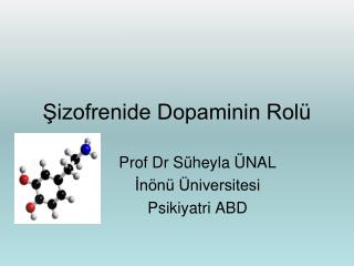 Şizofrenide Dopaminin Rolü