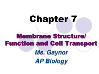Chapter 7
