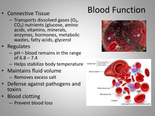Blood Function