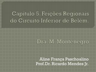 Capítulo 5. Feições Regionais do Circuito Inferior de Belém. Dra. M. Montenegro