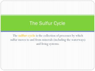 The Sulfur Cycle