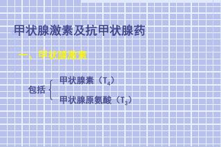 甲状腺激素及抗 甲状腺 药