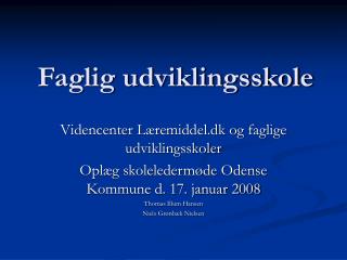 Faglig udviklingsskole