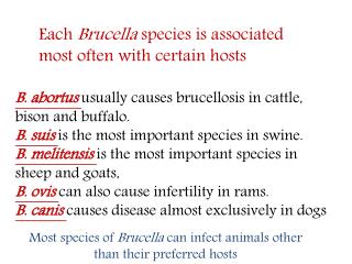 B. abortus usually causes brucellosis in cattle, bison and buffalo.