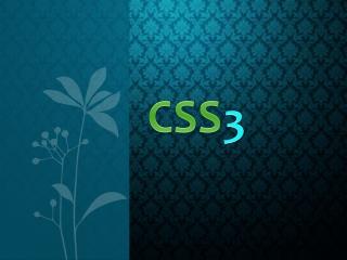CSS