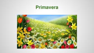 Primavera