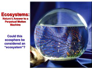 Ecosystems: Nature’s Answer to a Perpetual Motion Machine