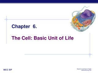 Chapter 6. The Cell: Basic Unit of Life