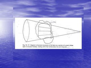 Subtalar joint